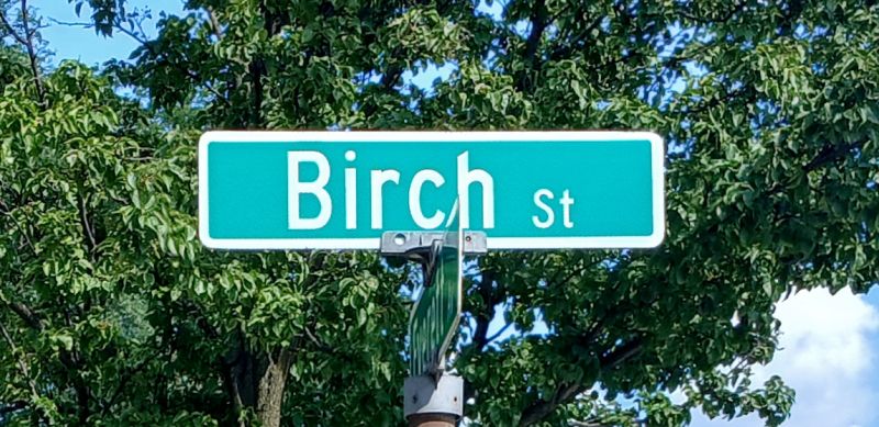 File:Birch Street.jpg